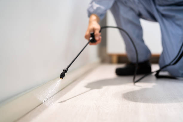 Licensed Fumigation Services service in Steilacoom, WA - Nex Pest Control