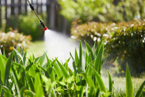 24/7 Emergency Fumigation Services experts in Steilacoom, WA