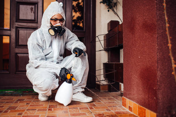 Reliable Fumigation Services contractor in Steilacoom, WA by Nex Pest Control