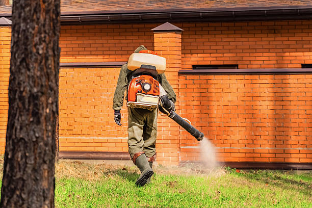 Trusted Bed Bug Control service in Steilacoom, WA - Nex Pest Control